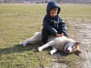 Прикачена снимка