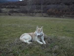 Прикачена снимка