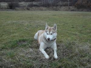 Прикачена снимка