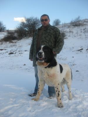 Прикачена снимка
