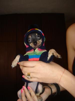 Прикачена снимка