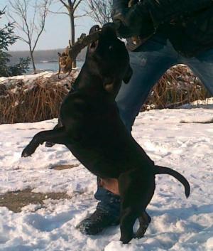 Прикачена снимка