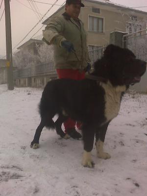 Прикачена снимка
