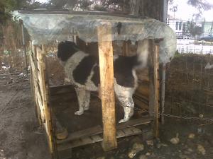 Прикачена снимка