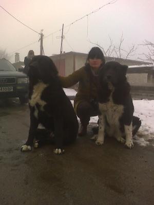 Прикачена снимка