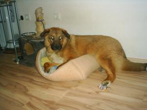 Прикачена снимка