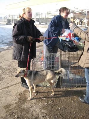 Прикачена снимка