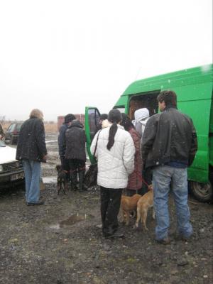 Прикачена снимка
