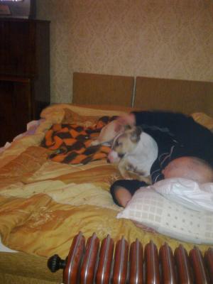 Прикачена снимка