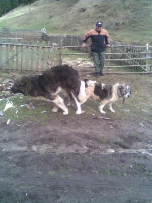 Прикачена снимка