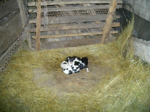 Прикачена снимка