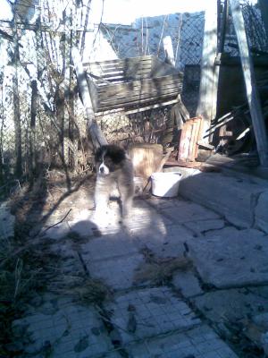 Прикачена снимка