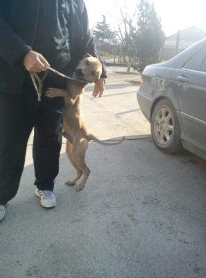 Прикачена снимка