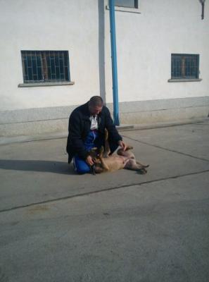 Прикачена снимка