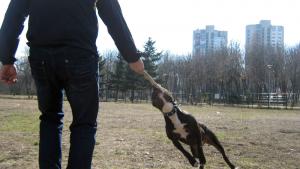 Прикачена снимка