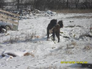 Прикачена снимка