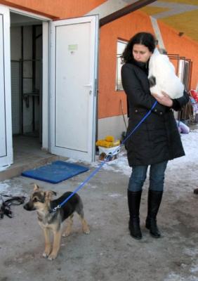 Прикачена снимка