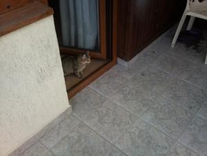 Прикачена снимка