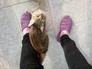 Прикачена снимка