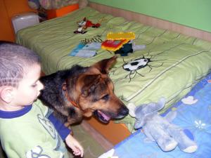 Прикачена снимка