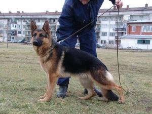 Прикачена снимка