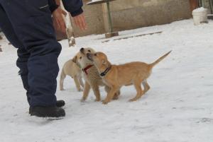 Прикачена снимка