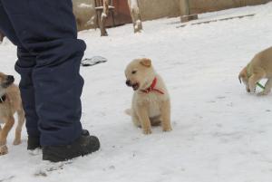 Прикачена снимка