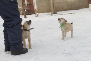 Прикачена снимка