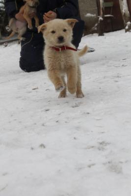 Прикачена снимка