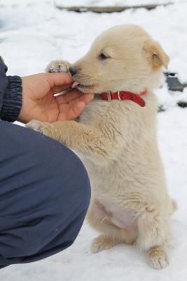 Прикачена снимка