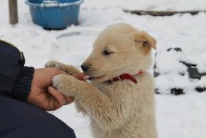Прикачена снимка
