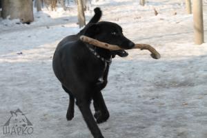 Прикачена снимка