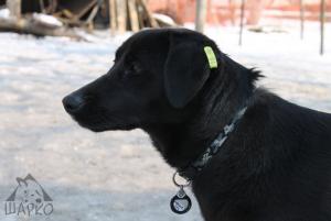Прикачена снимка