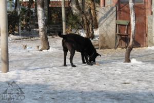 Прикачена снимка