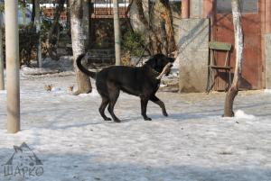 Прикачена снимка
