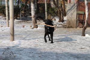 Прикачена снимка