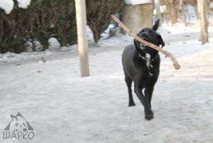 Прикачена снимка