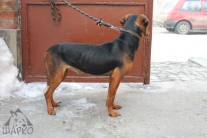 Прикачена снимка