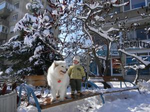 Прикачена снимка