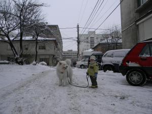 Прикачена снимка