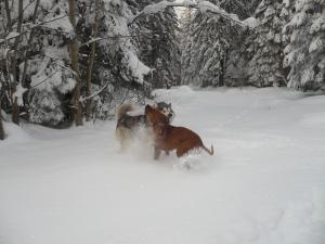 Прикачена снимка