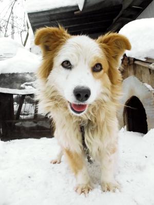 Прикачена снимка