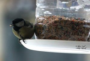 Прикачена снимка