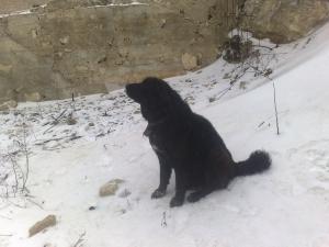 Прикачена снимка