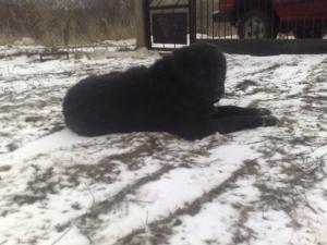 Прикачена снимка