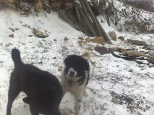 Прикачена снимка
