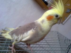 Прикачена снимка