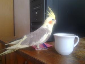 Прикачена снимка