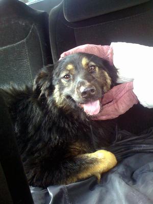 Прикачена снимка