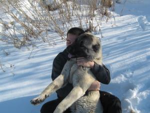 Прикачена снимка